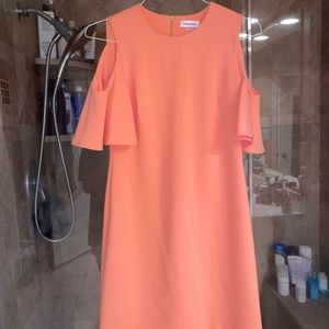 Calvin Klein Dress